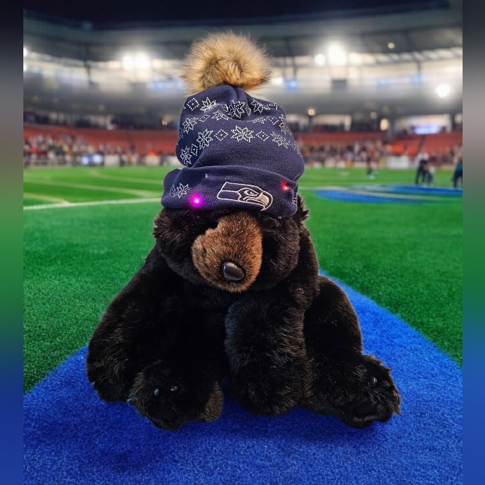 NWOT SEATTLE SEAHAWKS NFL BEANIE POM BLINKING BEANIE